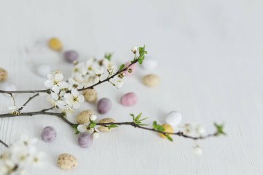 Mutlu Paskalyalar! Şık paskalya çikolatası yumurtaları ve beyaz kırsal ahşap masa üzerinde yumuşak bahar çiçekleri. Paskalya modern basit afiş, metin için yer. Mevsimler selamlar