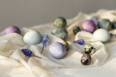 Şık paskalya yumurtaları, yumuşak bahar çiçekleri ve kırsal beyaz masa üzerindeki keten kumaş güneş ışığı. Mesaj için yer var. Mutlu Paskalyalar! Doğal boyalı mermer ve mor yumurtalar. Mevsimler selamlar