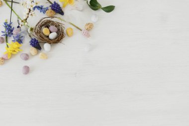Mutlu Paskalyalar! Yuvada zarif paskalya çikolatası yumurtaları, bahar çiçekleri, tüyler beyaz kırsal ahşap masa üzerinde. Paskalya modern basit dekorasyon afişi, metin için yer. Mevsimler selamlar