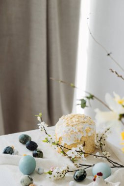 Paskalya yumurtaları, panettone ve bahar çiçekleri kırsal masada keten kumaş üzerinde. Doğal boya yumurtaları ve kiraz çiçekleri, şenlik için asgari yaşam. Mutlu Paskalyalar!