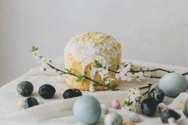 Paskalya yumurtaları, panettone ve bahar çiçekleri kırsal masada keten kumaş üzerinde. Doğal boya yumurtaları ve kiraz çiçekleri, şenlik için asgari yaşam. Mutlu Paskalyalar!