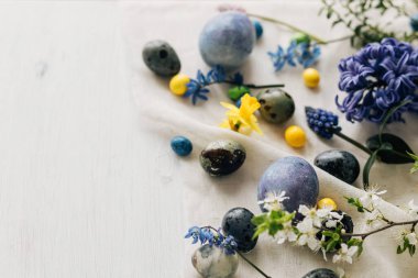 Paskalya yumurtaları ve kır ağaçlarının üzerinde bahar çiçekleri. Mutlu Paskalyalar! Doğal boya mermeri ve mavi yumurta, mor hiacynt çiçekleri ve nergisler. Asgari durağan yaşam, kopyalama alanı