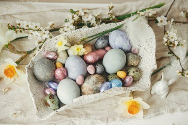 Mutlu Paskalyalar! Modern kasede kiraz çiçekli ve nergisli paskalya yumurtaları. Modern doğal boyanmış yumurta ve bahar çiçekleri. Paskalya 'da kırsal evdeki hayat dekorasyonu