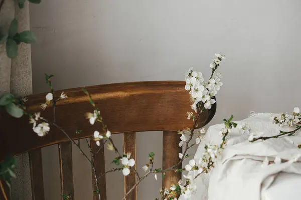 Belle Branche Cerisier Sur Toile Lin Sur Table Blanche Chaise — Photo