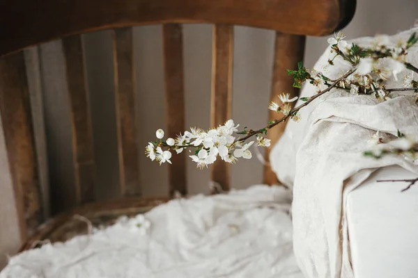 Beautiful cherry branch on linen cloth on white table and rustic wooden chair composition. Spring country still life. White cherry blossom flowers banner