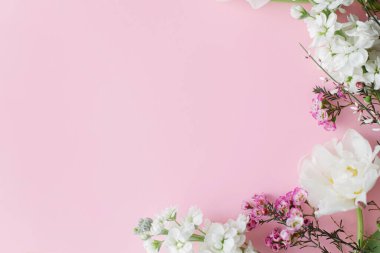 Havalı çiçekler pembe arka planda, metin için boşluk bırakarak yatıyordu. Mutlu kadınlar günü ve anneler günü. Güzel laleler ve bahar çiçekleri sınırı, tebrik kartı şablonu. Çiçek bayrağı