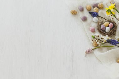 Paskalya kırsalı düzlüğü. Yuvada renkli paskalya çikolatası yumurtaları, bahar çiçekleri, tüyler beyaz ahşap masa üzerinde sınır kompozisyonu. Mesaj için yer var. Mutlu Paskalyalar! Mevsimler selamlar