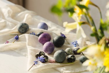 Mutlu Paskalyalar! Şık paskalya yumurtaları, yumuşak bahar çiçekleri ve kırsal beyaz masa üzerindeki keten kumaş güneş ışığı. Mesaj için yer var. Doğal boyalı mermer ve mor yumurtalar. Mevsimler selamlar