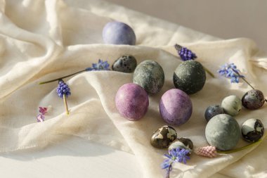 Mutlu Paskalyalar! Paskalya yumurtaları ve bahar çiçekleri sade beyaz masa üzerinde keten kumaş üzerinde. Paskalya modern basit afiş, metin için yer. Doğal boyanmış mermer ve mor yumurtalar hala hayattadır.