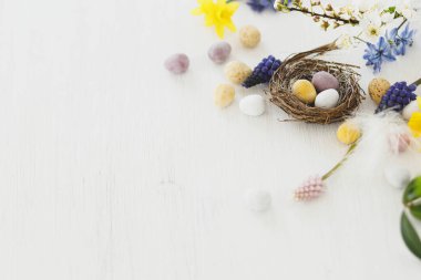Mutlu Paskalyalar! Yuvada zarif paskalya çikolatası yumurtaları, bahar çiçekleri, tüyler beyaz kırsal ahşap masa üzerinde. Paskalya modern basit dekorasyon afişi, metin için yer. Mevsimler selamlar