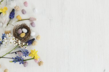 Paskalya kırsalı düzlüğü. Yuvada renkli paskalya çikolatası yumurtaları, bahar çiçekleri, tüyler beyaz ahşap masa üzerinde sınır kompozisyonu. Mesaj için yer var. Mutlu Paskalyalar! Mevsimler selamlar