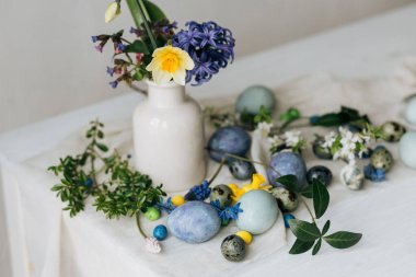 Paskalya yumurtaları ve kır ağaçlarının üzerinde bahar çiçekleri. Mutlu Paskalyalar! Doğal boya mermeri ve mavi yumurta, mor hiacynt çiçekleri ve nergisler. En az yaşam süresi.