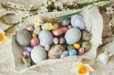 Modern kasede kiraz çiçekli ve nergisli paskalya yumurtaları köy masasında düzdü. Mutlu Paskalyalar! Modern renkli doğal boyanmış yumurta, çikolata ve bahar çiçekleri. Paskalya avı
