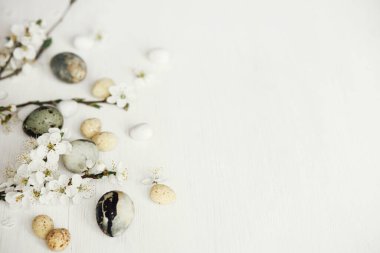 Mutlu Paskalyalar! Paskalya yumurtaları ve kiraz çiçekleri sade beyaz masa yatağında. Modern doğal boya mermer yumurta ve bahar çiçekleri. Metin için en düşük paskalya sınır şablonu