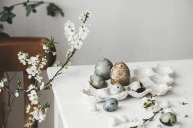 Paskalya yumurtaları tepside ve kiraz çiçekleri kırsal beyaz masada. Mutlu Paskalyalar! Paskalya ülkesi hala hayat dolu. Modern doğal boya mermer yumurta ve bahar çiçekleri, bayram afişi