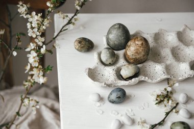 Paskalya yumurtaları tepside ve kiraz çiçekleri kırsal beyaz masada. Mutlu Paskalyalar! Paskalya ülkesi hala hayat dolu. Modern doğal boya mermer yumurta ve bahar çiçekleri, bayram afişi