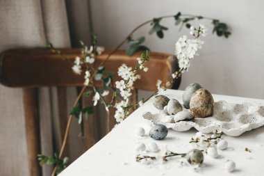 Paskalya yumurtaları tepside ve kiraz çiçekleri kırsal beyaz masada. Mutlu Paskalyalar! Paskalya ülkesi hala hayat dolu. Modern doğal boya mermer yumurta ve bahar çiçekleri, bayram afişi
