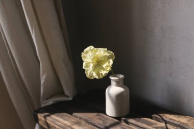 Kırsal ahşap bankta şık bir bahar buketi. Gri duvar ve keten perdelerin arka planında vazodaki güzel sarı lale. Çiçek hala hayat. Anneler Günün kutlu olsun.