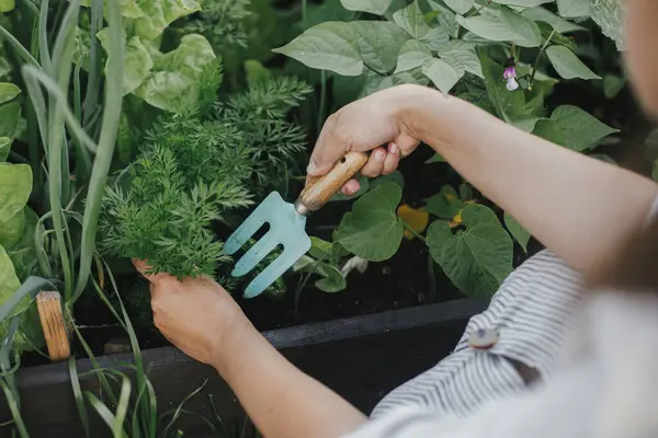 Wanita Dengan Alat Berkebun Yang Bekerja Kebun Dibesarkan Dekat Gaya Stok Lukisan  