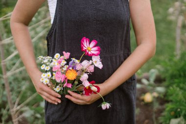 Çiçek çiftliği. Kırsal önlük cebinde güzel çiçekler. Yaklaş. Kadın çiçekçi kentsel organik bahçeden çiçek topluyor. Homestead sürdürülebilir yaşam tarzı
