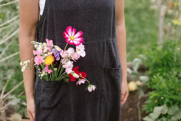 美丽的花在乡村围裙口袋关闭 女花匠从城市有机花园采花 家庭生活方式 花卉农场 可持续 — 图库照片