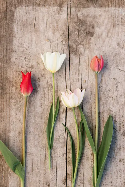 Mooie Tulpen Rustieke Platte Lag Verouderde Houten Achtergrond Voorjaar Bloemen Rechtenvrije Stockfoto's