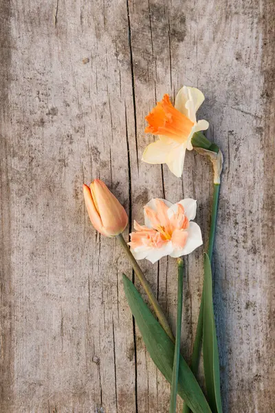 Prachtige Narcissen Tulpen Rustieke Platte Lag Verouderde Houten Achtergrond Begrepen Stockafbeelding