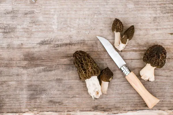 Morchella Mushrooms Knife Wooden Background Flat Lay True Morels Harvesting kuvapankkikuva