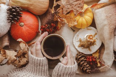 Sıcak sonbahar yatağı. Elleri süveter içinde sıcak çay ve balkabağı tutuyor, yapraklar dökülüyor ve pencere pervazında mum yanıyor. Sonbahar kızarıklığı. Mutlu Şükran Günleri