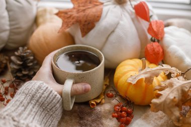 Sıcak bir süveter, sıcak bir fincan çay ve balkabağı, yapraklar ve pencere pervazında mum tutuyor. Sonbahar kızarıklığı, çirkin bir kavram. Mutlu Şükran Günleri