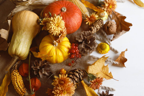 Thanksgiving Background Pumpkins Fall Leaves Flowers Berries Pine Cones White Stock Picture