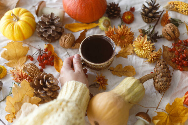 Hello Autumn Hand Sweater Holding Cup Tea Pumpkins Fall Leaves Royalty Free Stock Images