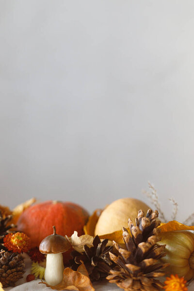 Happy Thanksgiving Pumpkins Fall Leaves Flowers Berries Mushroom Pine Cones Stock Photo