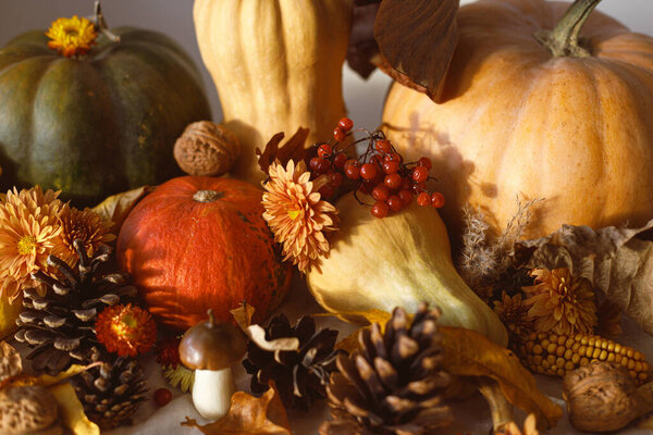 Thanksgiving Background Pumpkins Fall Leaves Flowers Berries Mushroom Pine Cones Royalty Free Stock Images