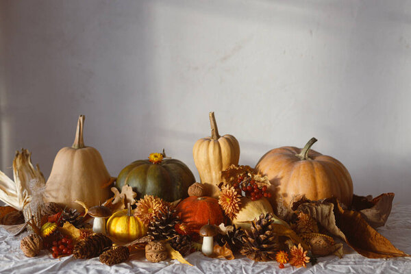 Thanksgiving Background Pumpkins Fall Leaves Flowers Berries Mushroom Pine Cones Stock Photo
