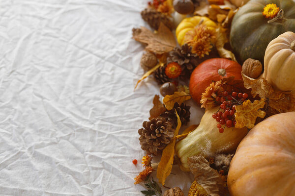 Thanksgiving Background Pumpkins Fall Leaves Flowers Berries Pine Cones Linen Royalty Free Stock Photos