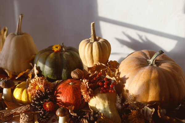Happy Thanksgiving Autumn Still Life Pumpkins Fall Leaves Flowers Berries Stock Photo
