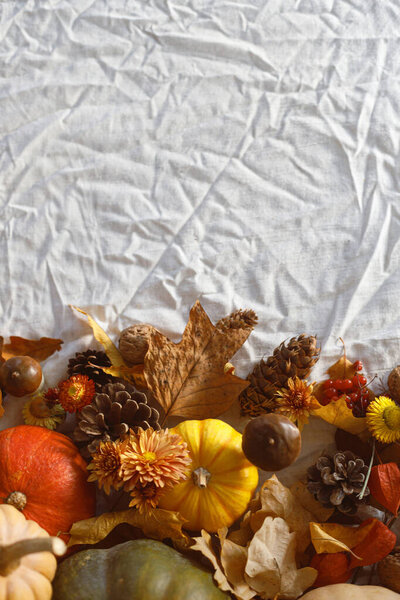 Thanksgiving Background Pumpkins Fall Leaves Flowers Berries Pine Cones Linen Stock Image