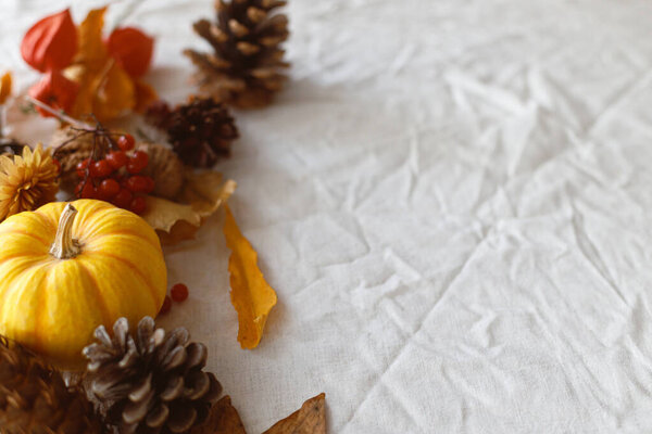 Thanksgiving Background Pumpkins Fall Leaves Flowers Berries Pine Cones Linen Royalty Free Stock Photos