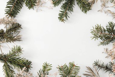 Noel yatağı. Açık mavi arkaplanda yeşil köknar dalları. Mutlu noeller. Kısa bir noel çerçevesi ve mesaj için yeri var. Xmas arkaplanı