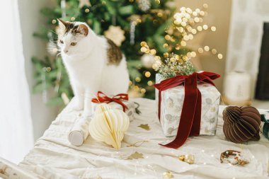 Modern noel hediyesi olarak kırsal masada oturan sevimli kedi altın ışıklarla süslenmiş şık bir ağacın arka planında. Mutlu Noeller! Evcil hayvanlar ve kış tatilleri