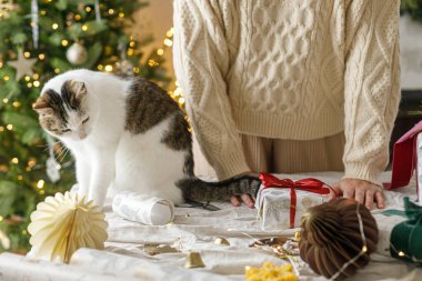 Şık bir Noel hediyesi paketlemek, kış tatili hazırlığı. Elleri rahat süveter süveter süsleme kutusu ve arka plandaki ışıklarla süslenmiş Noel ağacına yardım eden sevimli kedi.