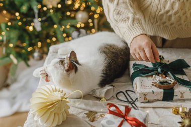 Şirin kedi, süslü süveter giymiş bir kadına Noel hediyesi paketini dekore edilmiş dekoratif Noel ağacının ışıklarla süslenmiş modern süslemeleriyle birlikte masaya yapıştırmada yardım ediyor. Mutlu Noeller ve mutlu tatiller.