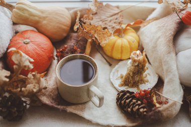 Sonbahar hala hayattır. Sıcak bir fincan çay, balkabağı, dökülen yapraklar, mum ve pencere pervazında yün atkı. Sonbahar kızarıklığı. Mutlu Şükran Günleri