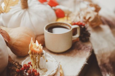 Merhaba sonbahar. Mum, sıcak çay, balkabağı, sonbahar yaprakları ve pencere pervazında yün eşarp. Sonbahar kızarıklığı hala hayattadır. Mutlu Şükran Günleri.