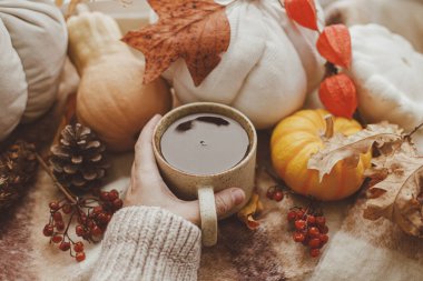 Sıcak bir sonbahar. Sıcak bir fincan çay ve balkabağı tutarken el ele kazak, pencere pervazında yapraklar ve mum. Sonbahar kızarıklığı. Mutlu Şükran Günleri