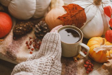 Sıcak bir süveter, sıcak bir fincan çay ve balkabağı, yapraklar ve pencere pervazında mum tutuyor. Sonbahar kızarıklığı, çirkin bir kavram. Mutlu Şükran Günleri