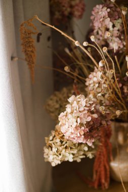 Kuru ortanca, haşhaş ve araranth şık vazoda, yakın plan. Modern oturma odasında sonbahar dekorasyonu. Şükran Günü ve Cadılar Bayramı. Sonbahar çiçek aranjmanı