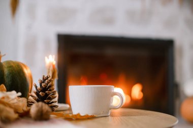 Sıcak bir sonbahar. Bir fincan çay, balkabağım, şöminenin arkasındaki ahşap masada sonbahar yaprakları. Oturma odasında hayat devam ediyor. Şükran Günü ve Cadılar Bayramı.