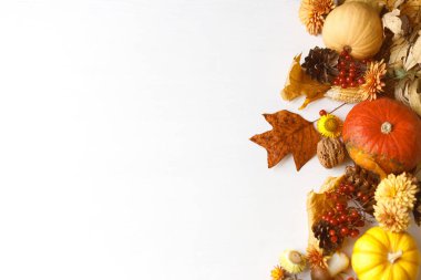 Sonbahar yatağı. Balkabakları, yapraklar ve çiçekler, böğürtlen ve kozalaklar beyaz ahşap arka planda sınırdır. Metin için boşluğu olan sonbahar şablonu. Şükran Günü geçmişi